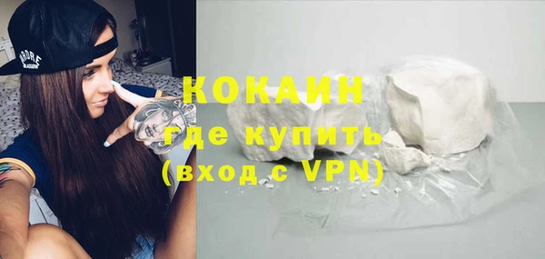 индика Волосово
