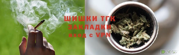 индика Волосово